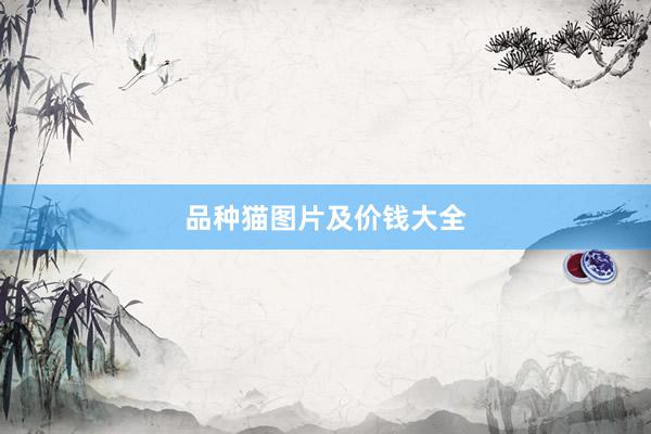 品种猫图片及价钱大全