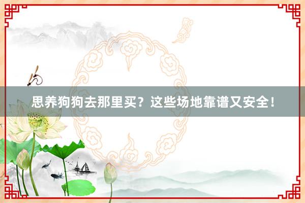 思养狗狗去那里买？这些场地靠谱又安全！